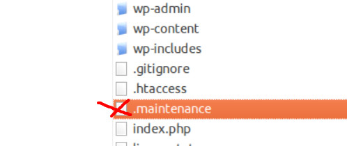xoa-file-maintenance-di.jpg