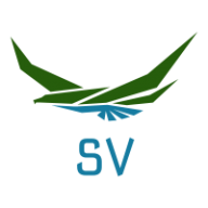 dongsonv88
